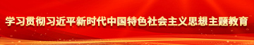 插入白虎护士的阴道在线观看学习贯彻习近平新时代中国特色社会主义思想主题教育